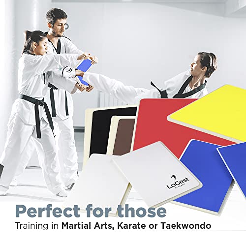 Logest Rebreakable Boards Martial Arts - Taekwondo Karate MMA Boards - Reusable Plastic Training Breaking Boards for Kids & Adults Available in 4 Levels (6 Levels Set - White Y B R B Black)