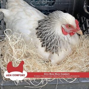 Cackle Hatchery Comfort Nests™ Handcrafted Nest Box Liners from 100% Aspen Excelsior (8 Pack) - Provides Comfort for Hens and Protection for Eggs