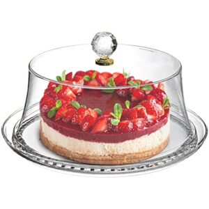 hiceeden 10 inch acrylic cake stand with dome lid, clear cake plate with cover, serving platter with lid for display, party, dinner, dessert