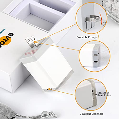 Evron Ionizers for Home,Negative Ion Plug In Folding Prongs Mobile Ionizer with Output up to 20 Million Negative Ions/Sec (Blue light 2 Pack)