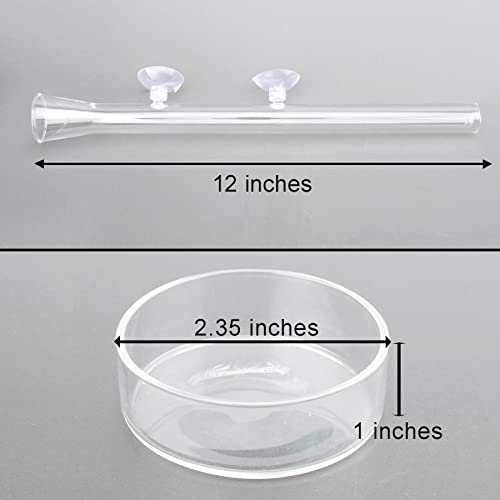 Alfie Pet - Dexter 2 Dishes and 2 Tubes Set Clear Glass Shrimp or Axolotl Feeding Tube with Dish - Size: 30 cm