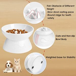 Kopmath Raised Cat Slow Feeder, Ceramic Slow Feeder Cat Bowl, Upgraded Ridges to Prevent Vomiting and Indigestion, No Spill High Edge for Dry/Wet Food, Heavy and Stable, Easy to Clean Pet Bowls