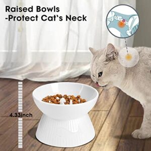 Kopmath Raised Cat Slow Feeder, Ceramic Slow Feeder Cat Bowl, Upgraded Ridges to Prevent Vomiting and Indigestion, No Spill High Edge for Dry/Wet Food, Heavy and Stable, Easy to Clean Pet Bowls