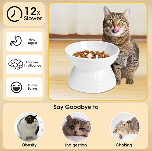 Kopmath Raised Cat Slow Feeder, Ceramic Slow Feeder Cat Bowl, Upgraded Ridges to Prevent Vomiting and Indigestion, No Spill High Edge for Dry/Wet Food, Heavy and Stable, Easy to Clean Pet Bowls