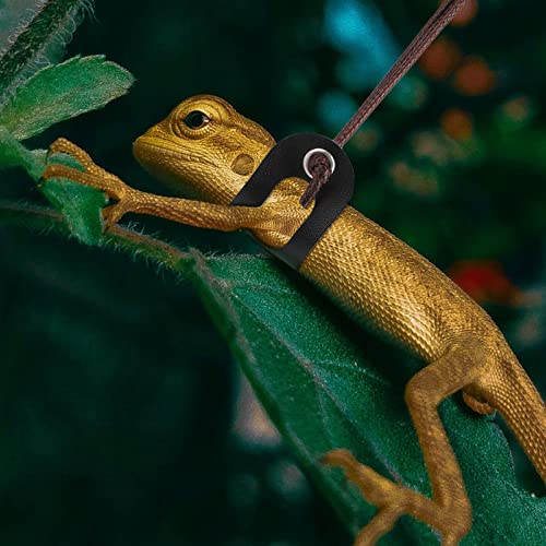 cobee Bearded Dragon Harness and Leash, 3 Pcs Adjustable Lizard Leashes, Soft Leather Reptile Lizard Leash with Cool Wings for Iguana Gecko Chameleon Amphibians Rat Small Pet Animals