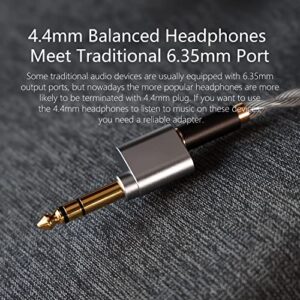 DD ddHiFi DJ65B (AL) 6.35mm Male to 4.4mm Female Headphone Jack Adapter, Audio Converter for Earphones/Headphones