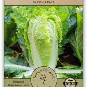 Gaea's Blessing Seeds - Chinese Cabbage Seeds - Michihili Heirloom - Non-GMO Seeds with Easy to Follow Planting Instructions - Open-Pollinated High Yield Heirloom 94% Germination Rate