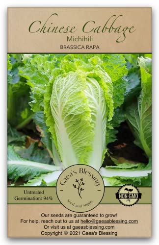 Gaea's Blessing Seeds - Chinese Cabbage Seeds - Michihili Heirloom - Non-GMO Seeds with Easy to Follow Planting Instructions - Open-Pollinated High Yield Heirloom 94% Germination Rate