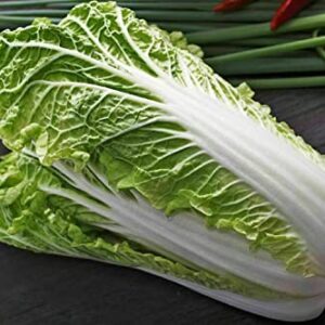 Gaea's Blessing Seeds - Chinese Cabbage Seeds - Michihili Heirloom - Non-GMO Seeds with Easy to Follow Planting Instructions - Open-Pollinated High Yield Heirloom 94% Germination Rate