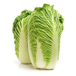 Gaea's Blessing Seeds - Chinese Cabbage Seeds - Michihili Heirloom - Non-GMO Seeds with Easy to Follow Planting Instructions - Open-Pollinated High Yield Heirloom 94% Germination Rate
