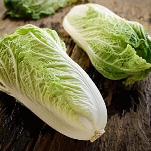 Gaea's Blessing Seeds - Chinese Cabbage Seeds - Michihili Heirloom - Non-GMO Seeds with Easy to Follow Planting Instructions - Open-Pollinated High Yield Heirloom 94% Germination Rate