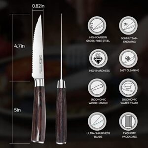 Dfito 6 Pieces Serrated Steak Knives Set, Ultra Sharp Fine Edge Steak Knife Set, Pakkawood Handle Steak Knoves,with Gift Box.