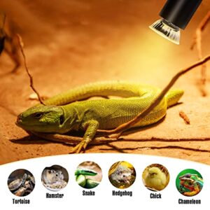 IOOTSEA Turtle Heat Lamp Tortoise Bulb: 50W UVB Reptile Heating Bulb for Lizards, Snakes, Aquarium Aquatic Reptile Amphibian - Terrarium Heat Lamps and Habitat Lighting for Pet Supplies