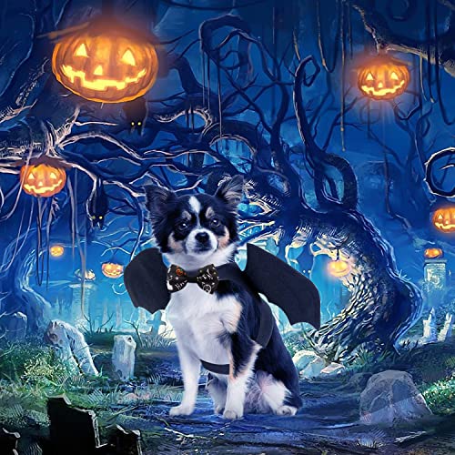 Do-Dottii Cat Halloween Costume Bat Wings Puppy Collar Halloween Cosplay Pet Cat Bat Wings for Halloween Party Decoration Witch Wizard Hat for Small Dogs Cats (Bat Wing +Collar)