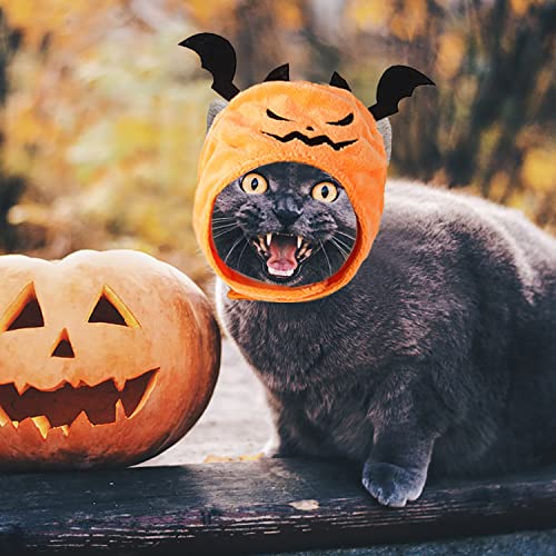 Do-Dottii 2 Pcs Cat Halloween Costume Pet Dog Halloween Cat Devil Hat Costumes Pumpkin Hat Cat Puppy Party Cosplay Dress Up Headdress Cute Funny Kitty Cap for Halloween Decoration