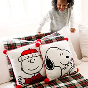 Dan Dee Peanuts | 14" Officially Licensed & Collectible Decorative Pillow | Charlie Brown, White