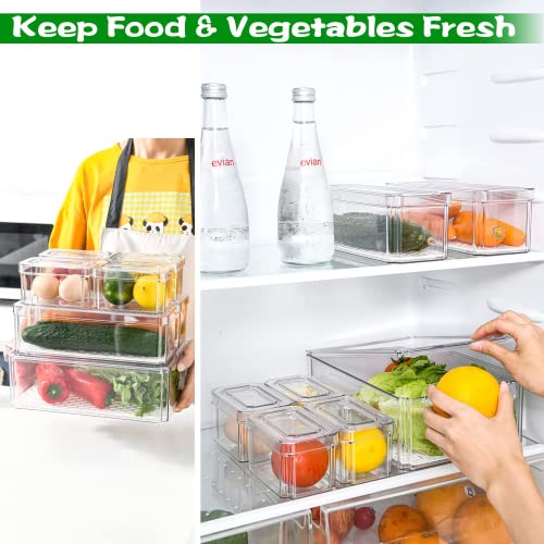 Set of 10 Refrigerator Organization Bins with Lids, Clear Fruit and Vegetable Storage Containers Fridge Organizer, Acrylic Stackable Kitchen Fridge Organizers and Storage Cabinets