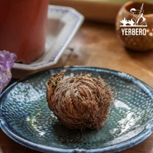 Yerbero - 3 Piece Bundle Rose of Jericho Dried Flower | Selaginella Lepidophylla | Resurrection Plant | 3 Medium Size Roses | Abundance, Prosperity, Sacred Doradilla Plant