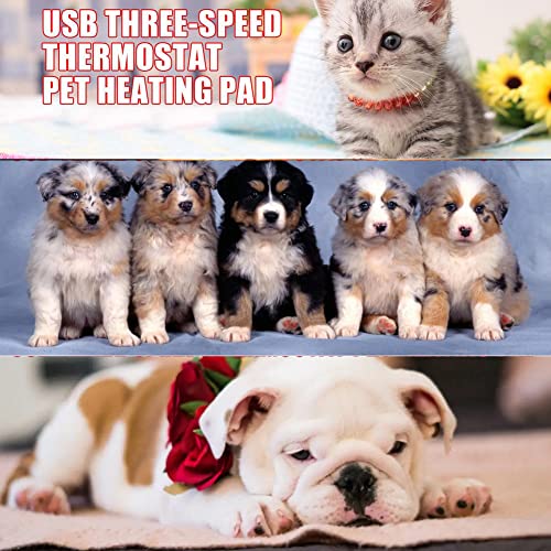 Pet Heating Pad, 5V 2A USB Pet Warmer Heating Pad Electric Heater Pad Winter Warm Carpet for Animals Pet Heater Mat Carpet (Large)