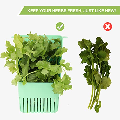 LUVCOSY Herb Keeper Set: 2 Pack Herb Saver+1 Pack Herb Scissors+2 Pack Herb Stripper, BPA-Free Plastic Herb Container for Cilantro, Mint & Asparagus, Keeps Fresh Herbs for 3 Times Longer