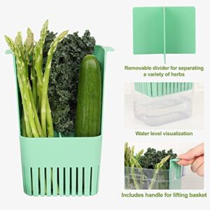 LUVCOSY Herb Keeper Set: 2 Pack Herb Saver+1 Pack Herb Scissors+2 Pack Herb Stripper, BPA-Free Plastic Herb Container for Cilantro, Mint & Asparagus, Keeps Fresh Herbs for 3 Times Longer