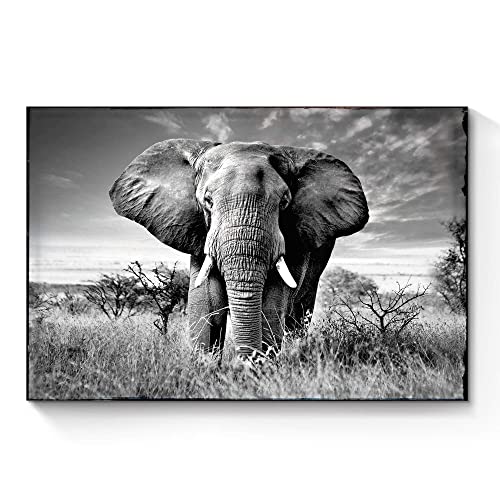 SunFlax Elephant Wall Art Canvas Artwork: African Wild Animals Picture Jungle Landscape Large Painting Black and White Wildlife Portrait Print for Modern Living Room Bedroom Bathroom Ready to Hang