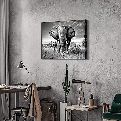 SunFlax Elephant Wall Art Canvas Artwork: African Wild Animals Picture Jungle Landscape Large Painting Black and White Wildlife Portrait Print for Modern Living Room Bedroom Bathroom Ready to Hang