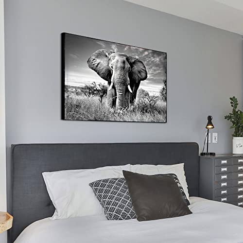 SunFlax Elephant Wall Art Canvas Artwork: African Wild Animals Picture Jungle Landscape Large Painting Black and White Wildlife Portrait Print for Modern Living Room Bedroom Bathroom Ready to Hang