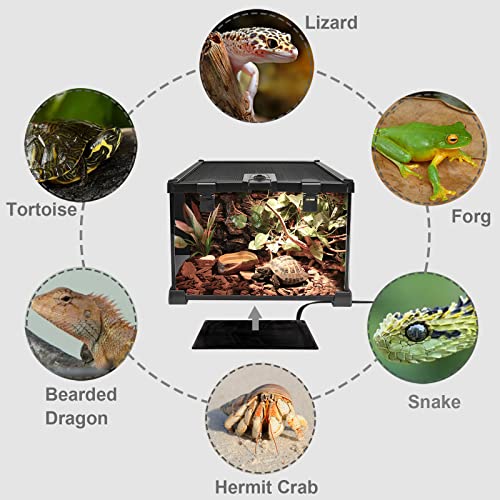 Aiicioo Reptile Heating Pad 8W - Reptile Heat Mat Pad for Bearded Dragon Leopard Gecko Hermit Crab Heater for 10 Gallon Reptile Tank