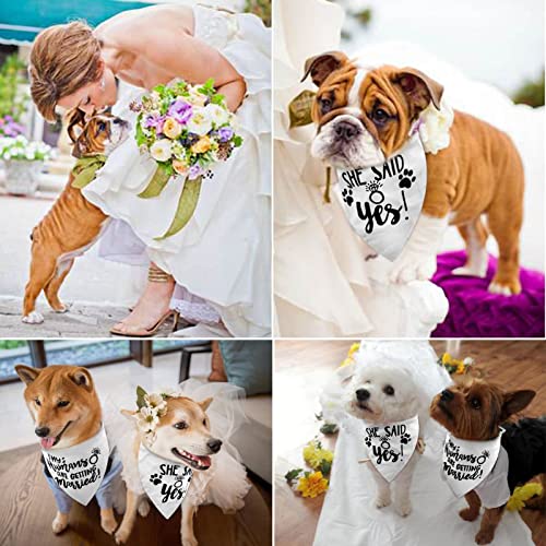 2PCS White My Humans are Getting Married She Said Yes Dog Wedding Engagement Bandana, LMSHOWOWO Dog Bandana Wedding Engagement Announcement Gifts Pet Scarf Accessories for Dog Lovers, Bridal Shower