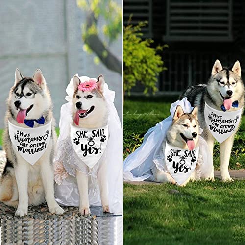 2PCS White My Humans are Getting Married She Said Yes Dog Wedding Engagement Bandana, LMSHOWOWO Dog Bandana Wedding Engagement Announcement Gifts Pet Scarf Accessories for Dog Lovers, Bridal Shower