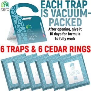 Clothes Moth Traps with Pheromones and Free Cedar Blocks Moth Repellent - Moth Traps for Clothes - Clothing Moth Traps with Pheromones - Closet Moth Traps for House - How to Get Rid of Moths in House