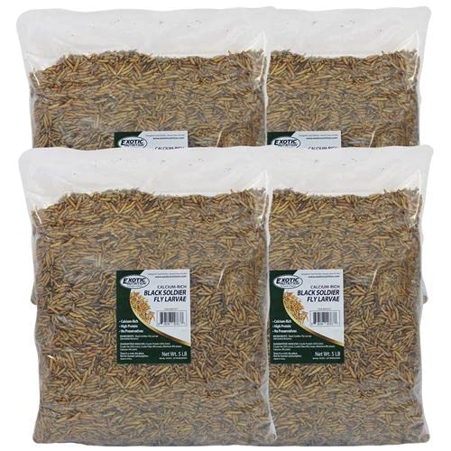 Bulk Dried Black Soldier Fly Larvae (20lb) - High-Calcium Insect Treat - Chickens, Wild Birds, Hedgehogs, Bluebirds, Reptiles, Sugar Gliders, Opossums, Skunks, Lizards, Bearded Dragon, Fish