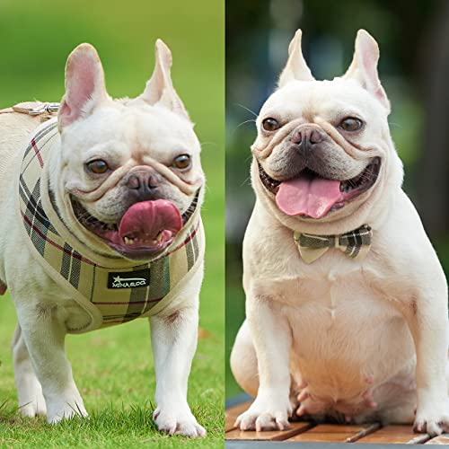 MINA&CO Dog Harness for Small Dogs No Pull - Adjustable Mesh Puppy Harness and Leash Set, Harness Medium Size Dog, Puppy Collar and Leash Set with Bandana & Poop Bag, Dog Vest Harness (Beige, XSmall)