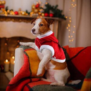 Dog Christmas Costume Antlers Dog Dresses Red Pet Hoodie with Buttons Rabbit Star Christmas Tree Cat Christmas Holiday Outfit Velvet Pet Fall Winter Clothes Pet Costumes for Small Medium Dogs Cats (M)