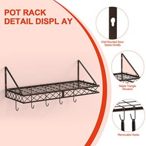 Skycarper Pot and Pan Rack Hanging Wall Mounted Organizer Multipurpose Holder with 10 Hooks, Bronze