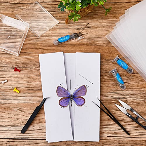 14 Pieces Insect Specimen Tools Kit Insect Display Case Box with Clear Top 8 Sheets Thin Tracing Paper Butterfly Mounting EVA Foam Pinning Board Pins 3 Pcs Insect Specimen Tools for Bugs Collection