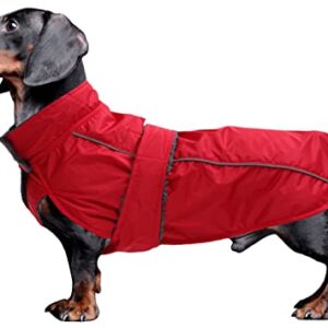 Dachshund Coat Waterproof, Perfect for Dachshund Sausage, Puppy Winter Jacket with Padded Fleece Lining, Outdoor Dog Clothing with Adjustable Bands and Underbelly Protection - Red - XS