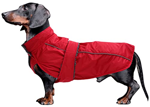 Dachshund Coat Waterproof, Perfect for Dachshund Sausage, Puppy Winter Jacket with Padded Fleece Lining, Outdoor Dog Clothing with Adjustable Bands and Underbelly Protection - Red - XS