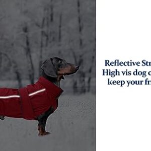 Dachshund Coat Waterproof, Perfect for Dachshund Sausage, Puppy Winter Jacket with Padded Fleece Lining, Outdoor Dog Clothing with Adjustable Bands and Underbelly Protection - Red - XS