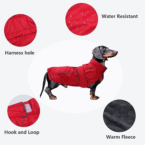 Dachshund Coat Waterproof, Perfect for Dachshund Sausage, Puppy Winter Jacket with Padded Fleece Lining, Outdoor Dog Clothing with Adjustable Bands and Underbelly Protection - Red - XS