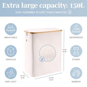 Lonbet - Beige Double Laundry Hamper with Lid, 2 Sections and Removable Bags, Hamper for Laundry 2 Compartments to Simplify Laundry Day for Busy Moms, 39.6 Gallons (3-5 Loads in a Washing Machine)