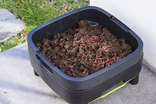 MAZE Two Level Worm Farm Compost Bin