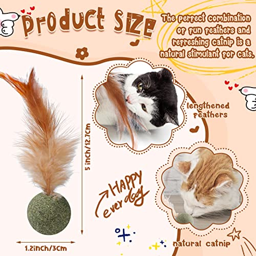 HyDren 6 Pcs Interactive Cat Toy Catnip Feather Ball Compressed Natural Catnip Lollipop Natural Cat Kicker with Feathers for Kitty