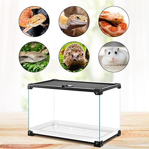OIIBO 10 Gallon Glass Reptile Tank, 20'' x 10'' x 12'' Reptile Terrarium Cage with Opening Top Mesh Reptile Enclosure for Lizards, Frogs, Turtle, Spiders, Hamster Hedgehog Reptile Small Animals