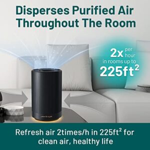 Jafanda Air Purifiers for Home Bedroom,Two Air Purifier and One Replacement Filter,H13 True HEPA Coverage 450 sqft,23 dB Air cleaner with Brushless Motor