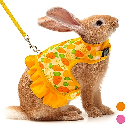 Rabbit Harness and Leash for Walking Escape Proof - Cute Carrot Pattern Mesh Breathable Bunny Vest Harness Outdoor Camping Hiking Training - Also Suit for Ferret Kitten Puppy Small Animals