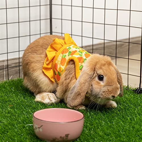 Rabbit Harness and Leash for Walking Escape Proof - Cute Carrot Pattern Mesh Breathable Bunny Vest Harness Outdoor Camping Hiking Training - Also Suit for Ferret Kitten Puppy Small Animals