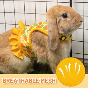 Rabbit Harness and Leash for Walking Escape Proof - Cute Carrot Pattern Mesh Breathable Bunny Vest Harness Outdoor Camping Hiking Training - Also Suit for Ferret Kitten Puppy Small Animals