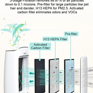 HIMOX Air Purifier for Home Pets, H13 True HEPA Filter Air Cleaner Dust Allergies Mold Pollen Pet Dander Odor Smoke Eliminator , 3 Stage Quiet Filtration For House Classroom Office Bedroom Large room . H04